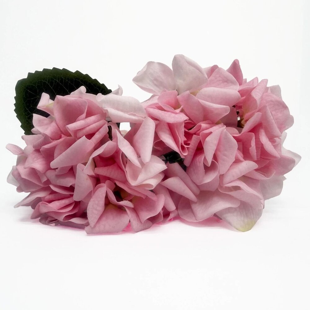 My Texas House Hydrangea Floral Pick Set - Two 16" Pink Hydrangea Stems,‎ Easter - Picture 3 of 6